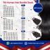 MS Lula 9A Human Hair Bundle Deals